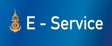E-service66